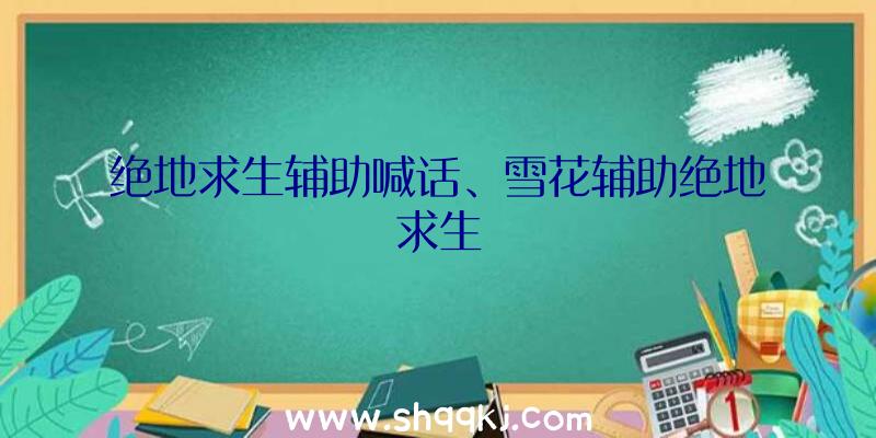 绝地求生辅助喊话、雪花辅助绝地求生