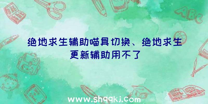 绝地求生辅助喵具切换、绝地求生更新辅助用不了