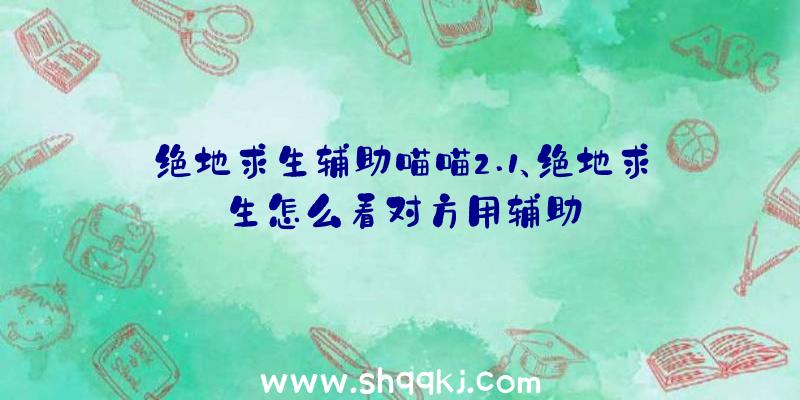 绝地求生辅助喵喵2.1、绝地求生怎么看对方用辅助