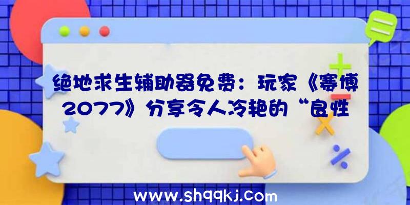 绝地求生辅助器免费：玩家《赛博2077》分享令人冷艳的“良性”沙暴BUG截图银翼杀手2049既视感