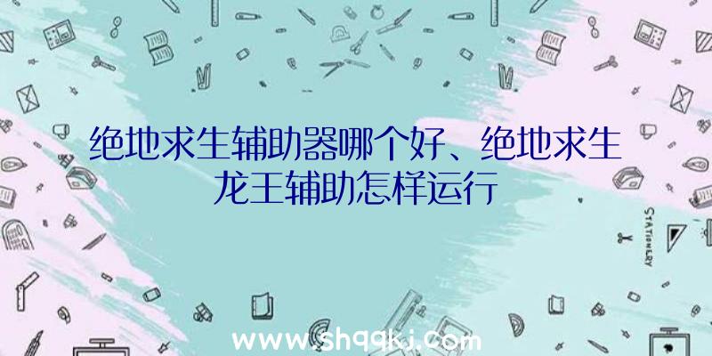 绝地求生辅助器哪个好、绝地求生龙王辅助怎样运行