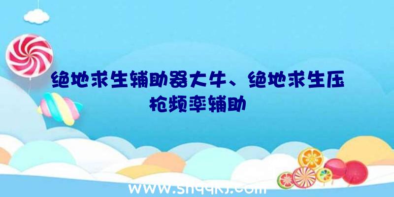 绝地求生辅助器大牛、绝地求生压枪频率辅助