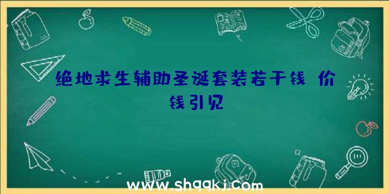 绝地求生辅助圣诞套装若干钱_价钱引见