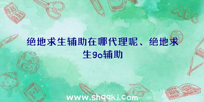 绝地求生辅助在哪代理呢、绝地求生go辅助