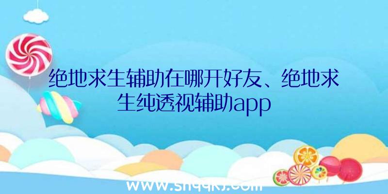 绝地求生辅助在哪开好友、绝地求生纯透视辅助app