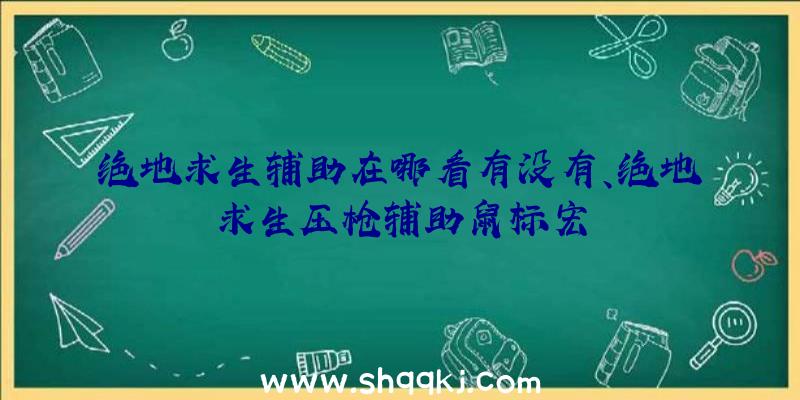 绝地求生辅助在哪看有没有、绝地求生压枪辅助鼠标宏