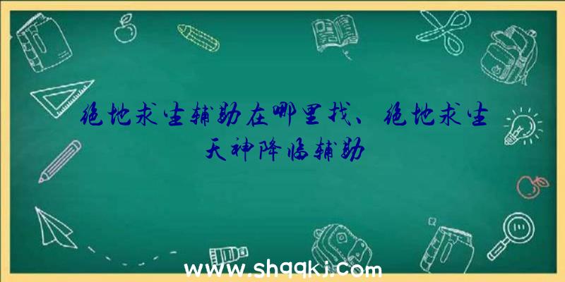 绝地求生辅助在哪里找、绝地求生天神降临辅助