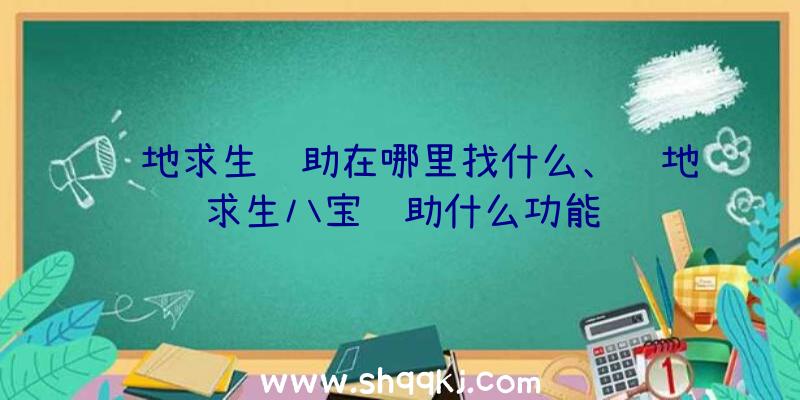 绝地求生辅助在哪里找什么、绝地求生八宝辅助什么功能