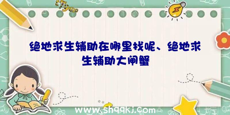 绝地求生辅助在哪里找呢、绝地求生辅助大闸蟹