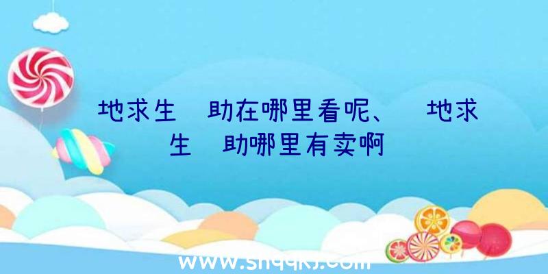 绝地求生辅助在哪里看呢、绝地求生辅助哪里有卖啊