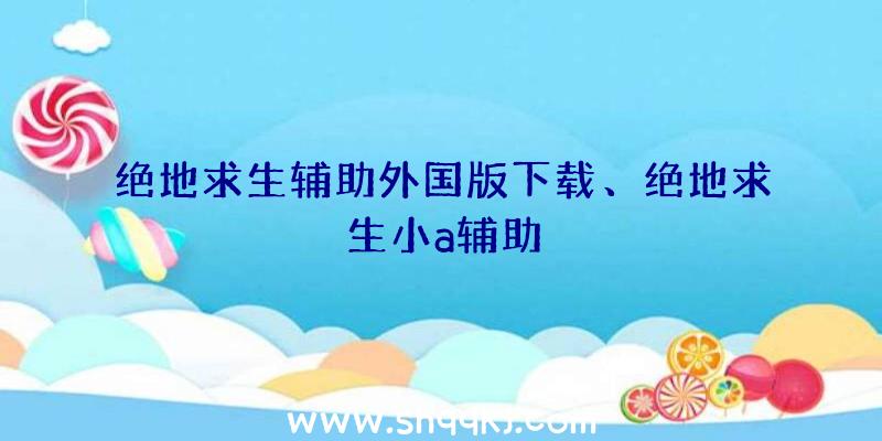 绝地求生辅助外国版下载、绝地求生小a辅助