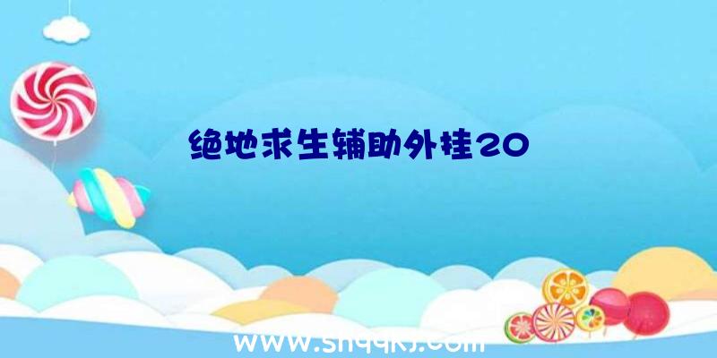 绝地求生辅助外挂20