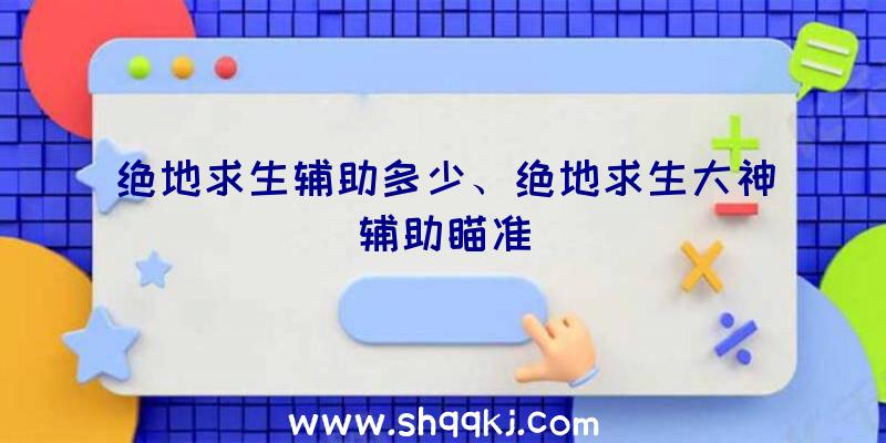 绝地求生辅助多少、绝地求生大神辅助瞄准