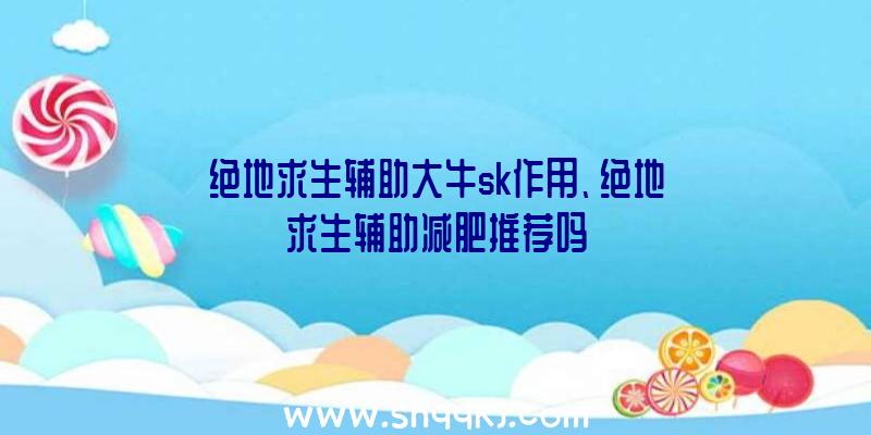 绝地求生辅助大牛sk作用、绝地求生辅助减肥推荐吗