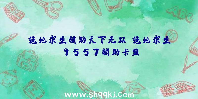 绝地求生辅助天下无双、绝地求生9557辅助卡盟