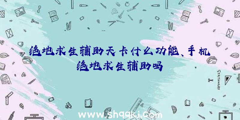 绝地求生辅助天卡什么功能、手机绝地求生辅助吗