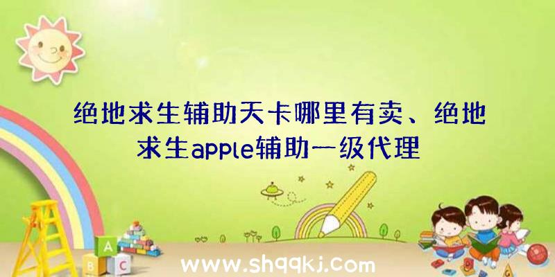 绝地求生辅助天卡哪里有卖、绝地求生apple辅助一级代理