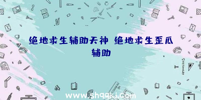 绝地求生辅助天神、绝地求生歪瓜辅助