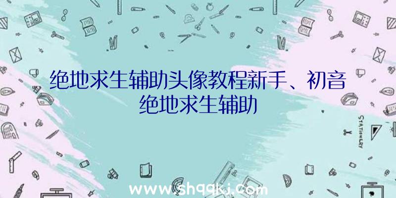 绝地求生辅助头像教程新手、初音绝地求生辅助