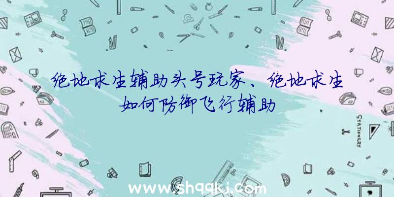 绝地求生辅助头号玩家、绝地求生如何防御飞行辅助