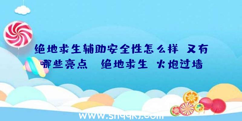 绝地求生辅助安全性怎么样？又有哪些亮点？（绝地求生:火炮过墙作用）