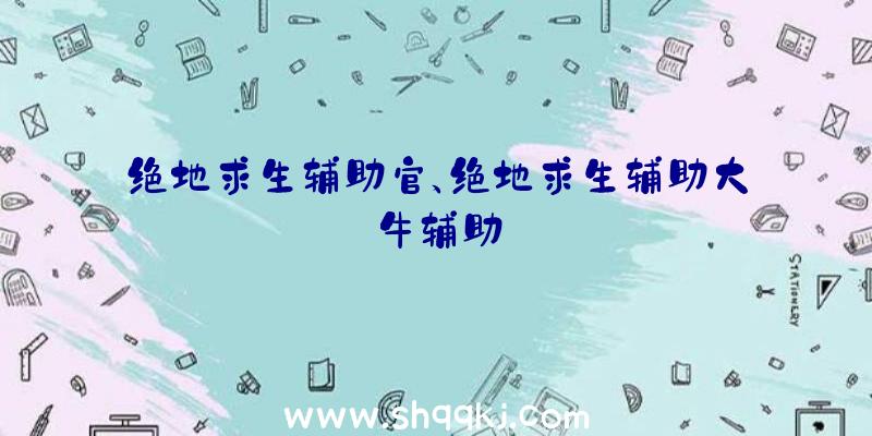 绝地求生辅助官、绝地求生辅助大牛辅助