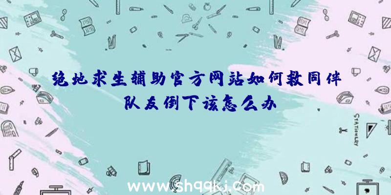 绝地求生辅助官方网站如何救同伴？队友倒下该怎么办？