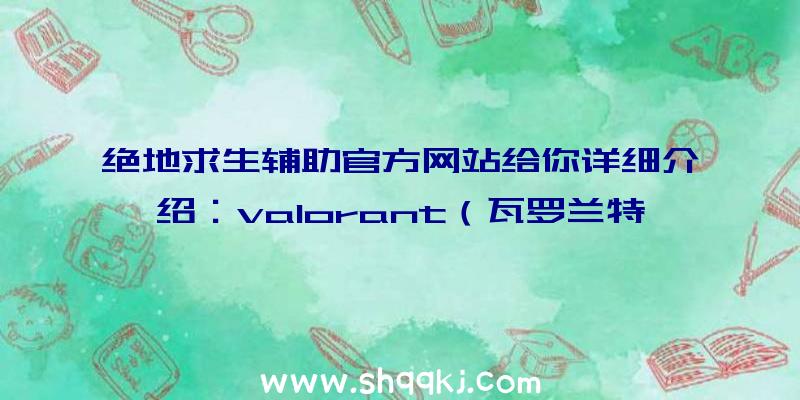 绝地求生辅助官方网站给你详细介绍：valorant（瓦罗兰特）配备规定