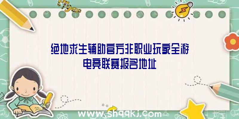 绝地求生辅助官方非职业玩家全游电竞联赛报名地址