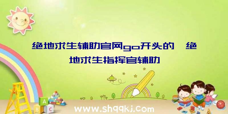 绝地求生辅助官网go开头的、绝地求生指挥官辅助