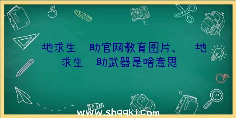 绝地求生辅助官网教育图片、绝地求生辅助武器是啥意思