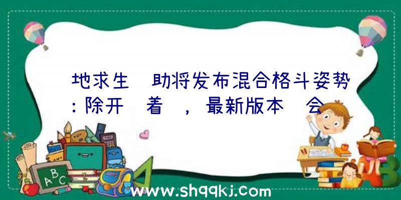 绝地求生辅助将发布混合格斗姿势：除开骑着马，最新版本还会继续发生NPC鸡？