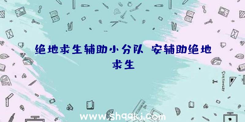 绝地求生辅助小分队、安辅助绝地求生