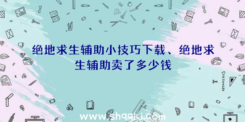 绝地求生辅助小技巧下载、绝地求生辅助卖了多少钱