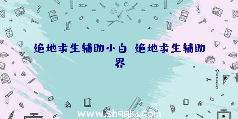 绝地求生辅助小白、绝地求生辅助界