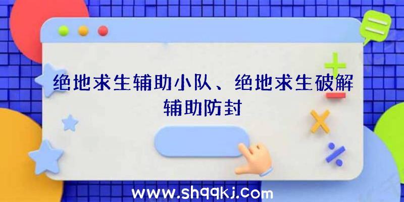 绝地求生辅助小队、绝地求生破解辅助防封