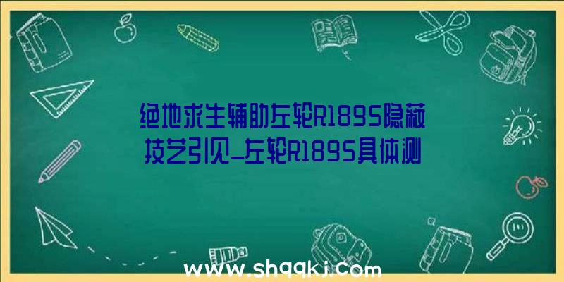 绝地求生辅助左轮R1895隐蔽技艺引见_左轮R1895具体测评