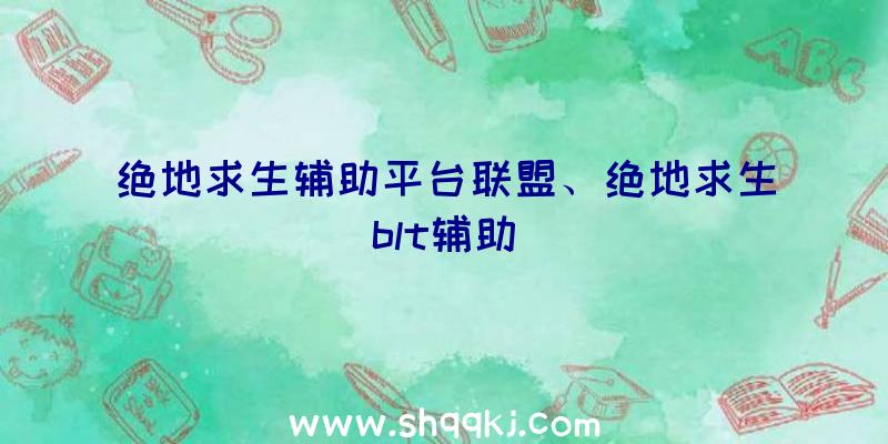 绝地求生辅助平台联盟、绝地求生blt辅助