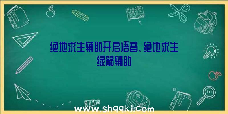 绝地求生辅助开启语音、绝地求生绿箭辅助