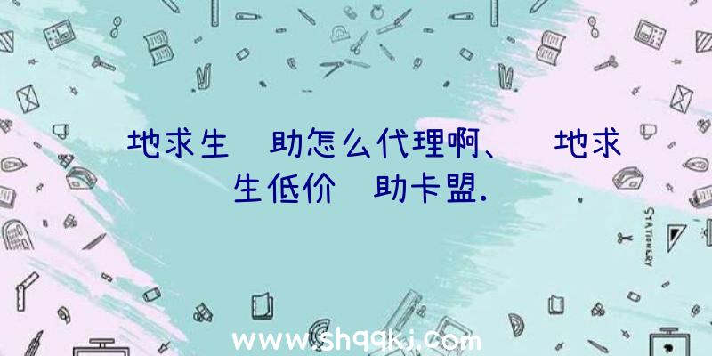 绝地求生辅助怎么代理啊、绝地求生低价辅助卡盟.