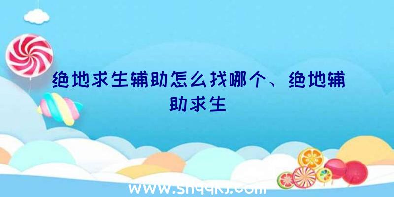 绝地求生辅助怎么找哪个、绝地辅助求生