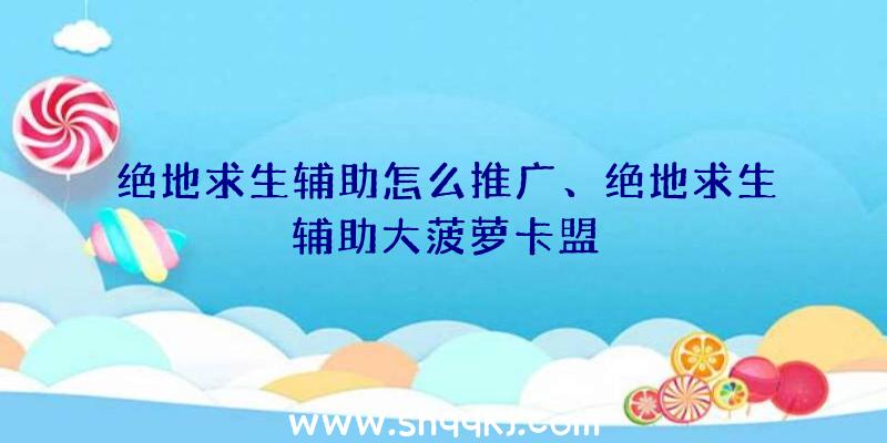 绝地求生辅助怎么推广、绝地求生辅助大菠萝卡盟