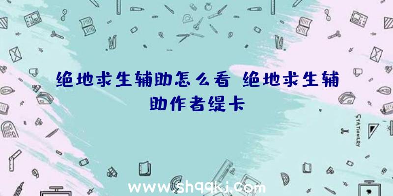 绝地求生辅助怎么看、绝地求生辅助作者缇卡