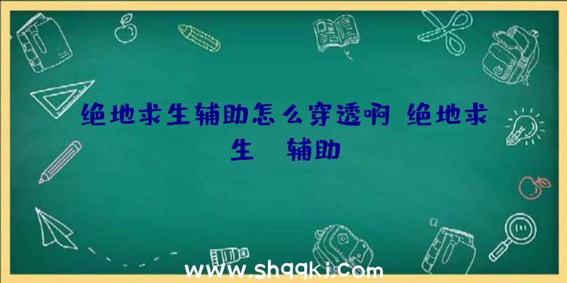 绝地求生辅助怎么穿透啊、绝地求生wp辅助