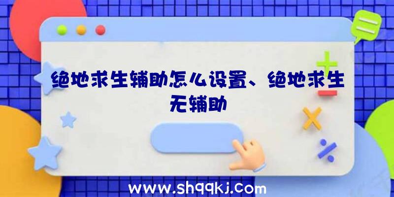 绝地求生辅助怎么设置、绝地求生无辅助