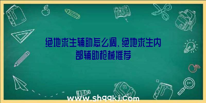 绝地求生辅助怎么调、绝地求生内部辅助枪械推荐