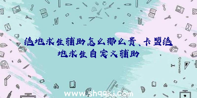 绝地求生辅助怎么那么贵、卡盟绝地求生自定义辅助