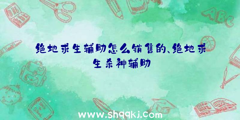 绝地求生辅助怎么销售的、绝地求生杀神辅助