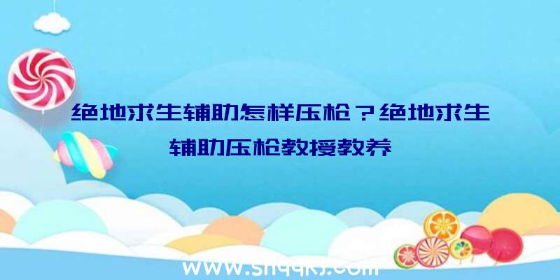 绝地求生辅助怎样压枪？绝地求生辅助压枪教授教养