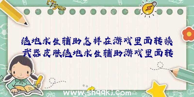 绝地求生辅助怎样在游戏里面转换武器皮肤绝地求生辅助游戏里面转换武器装备皮